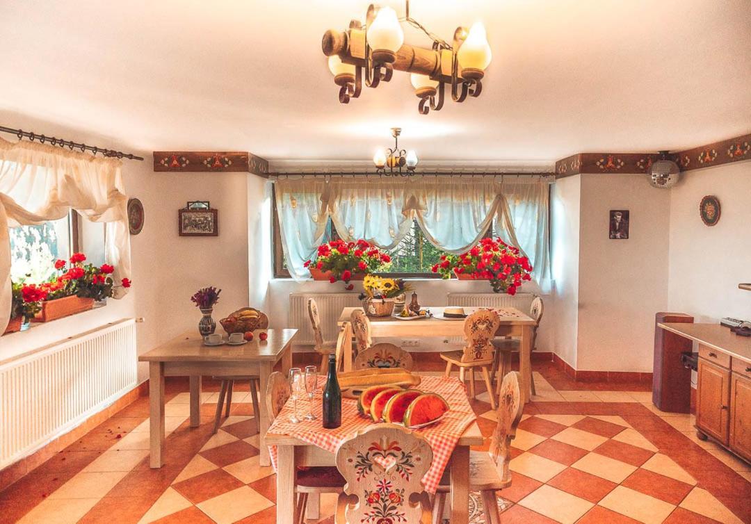 Vila Stefana Paltinis Bagian luar foto