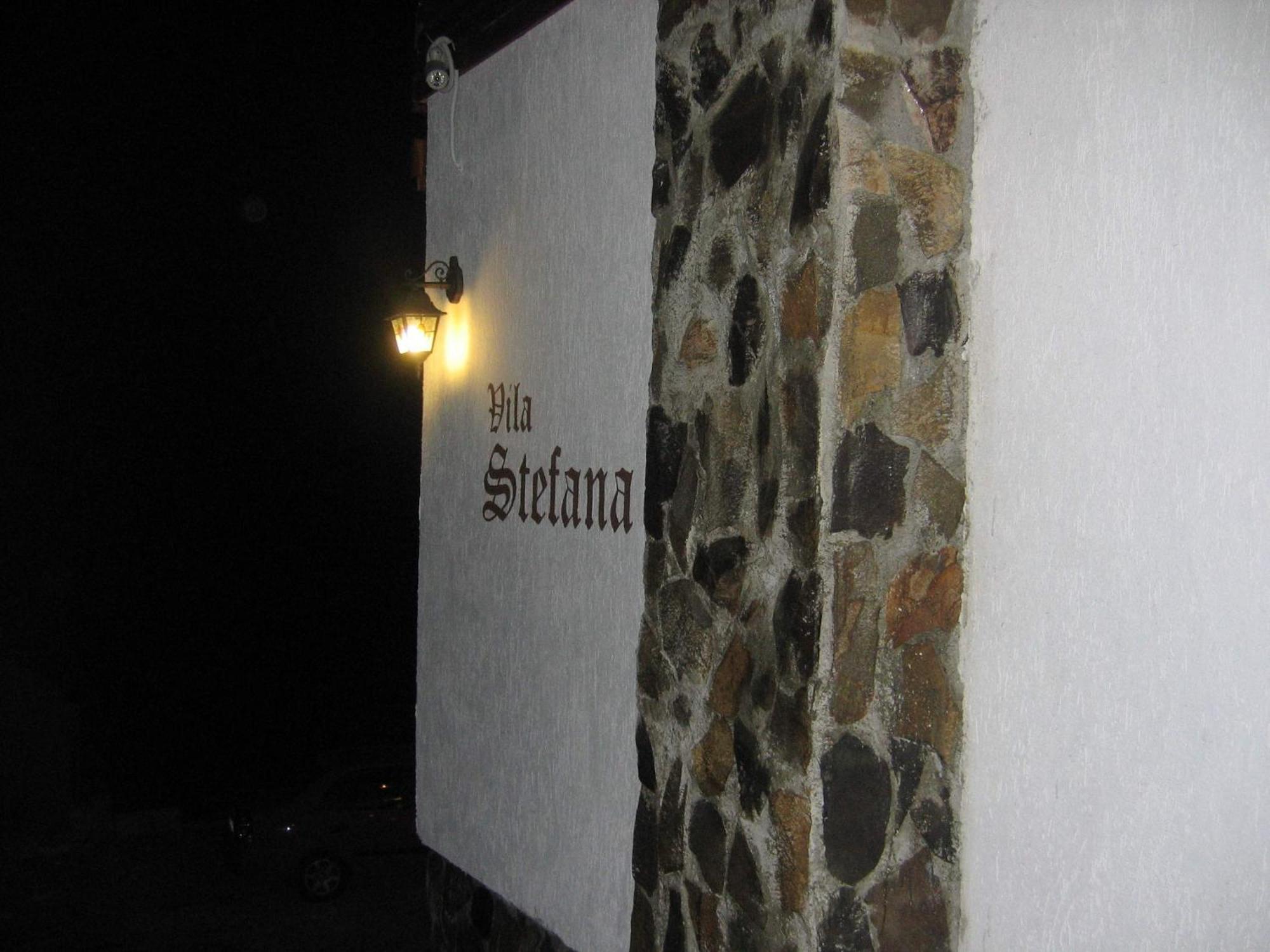 Vila Stefana Paltinis Bagian luar foto